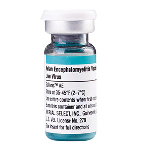Avian Encephalomyelitis