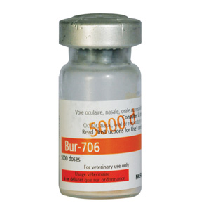 Bur 706