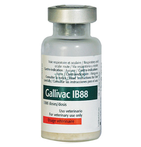 Gallivac IB88