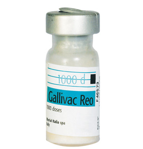 Gallivac Reo