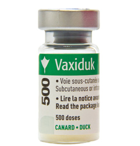 Vaxiduk