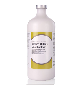Volvac AC Plus Emul Bact KV